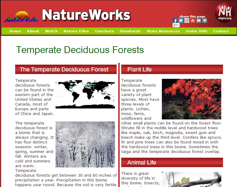 Taiga - NatureWorks